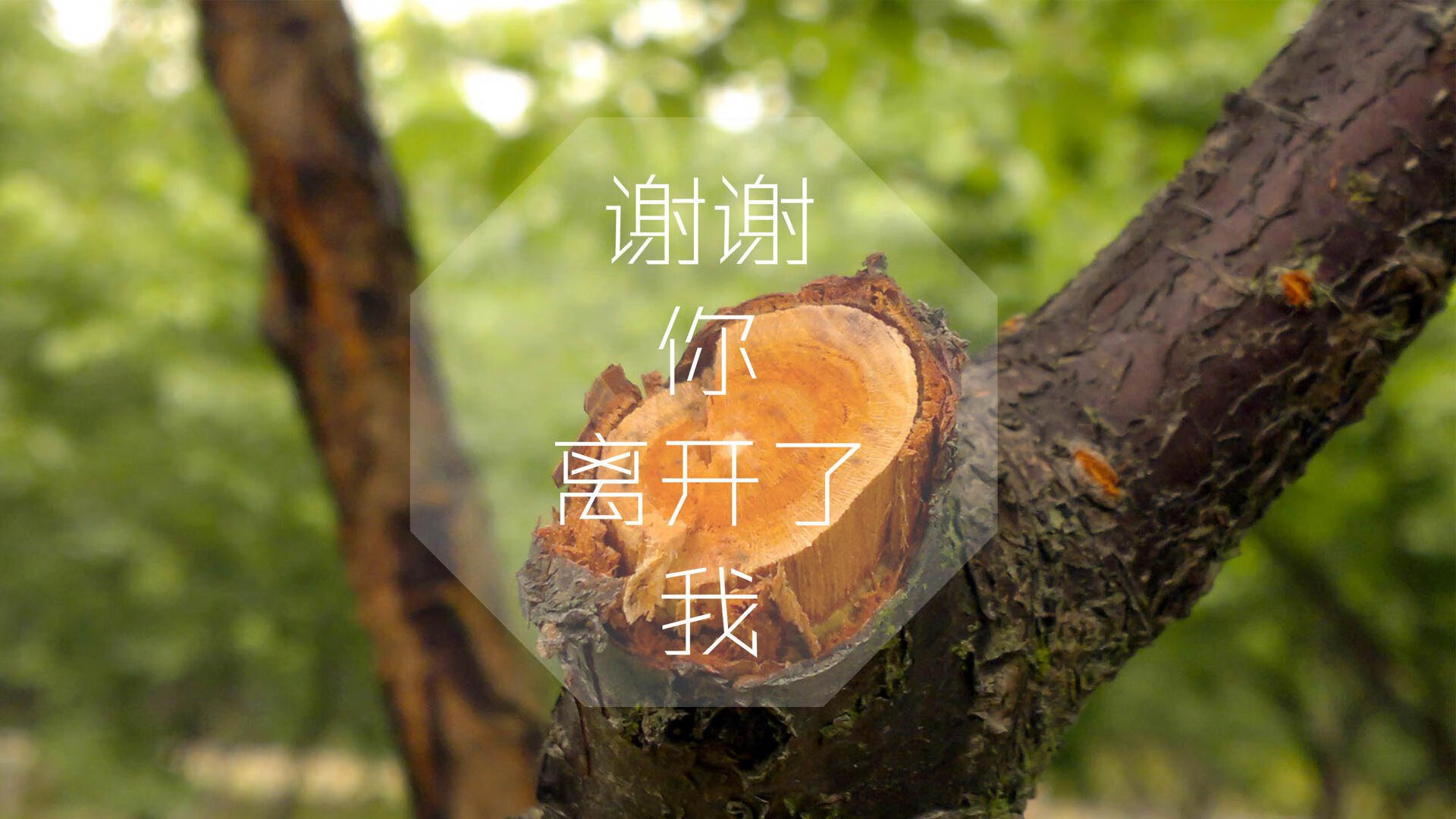 豪门对决：战术、人员、心理全方位解析，豪门对照组绝不认输免费阅读