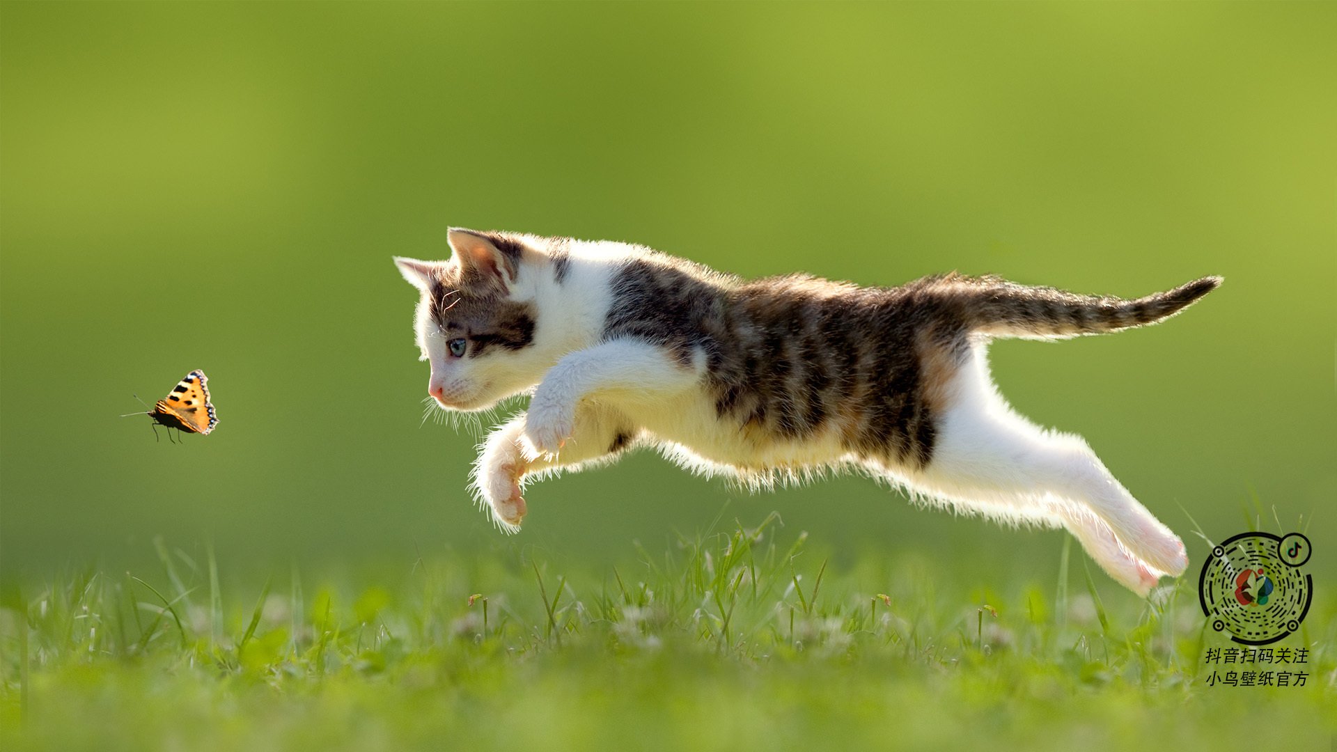 阿森纳客场不敌对手，遭遇背水一战，阿森纳终于赢了