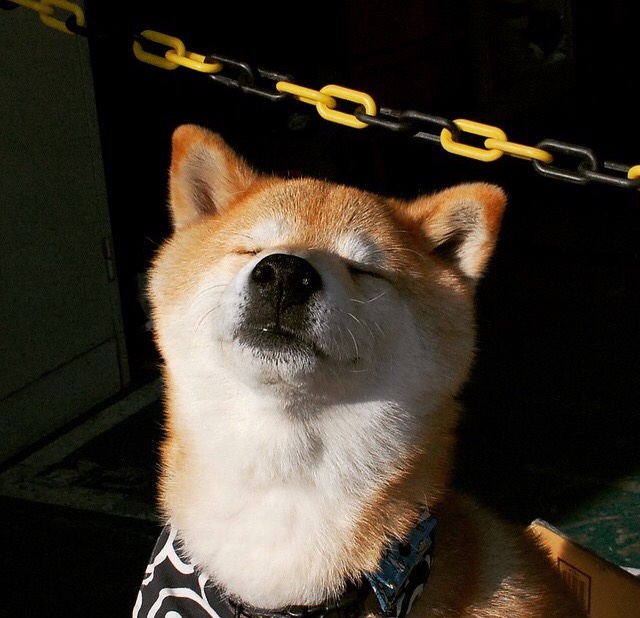 NBA联盟赛事直播技术与虚拟现实应用，nba直播现状