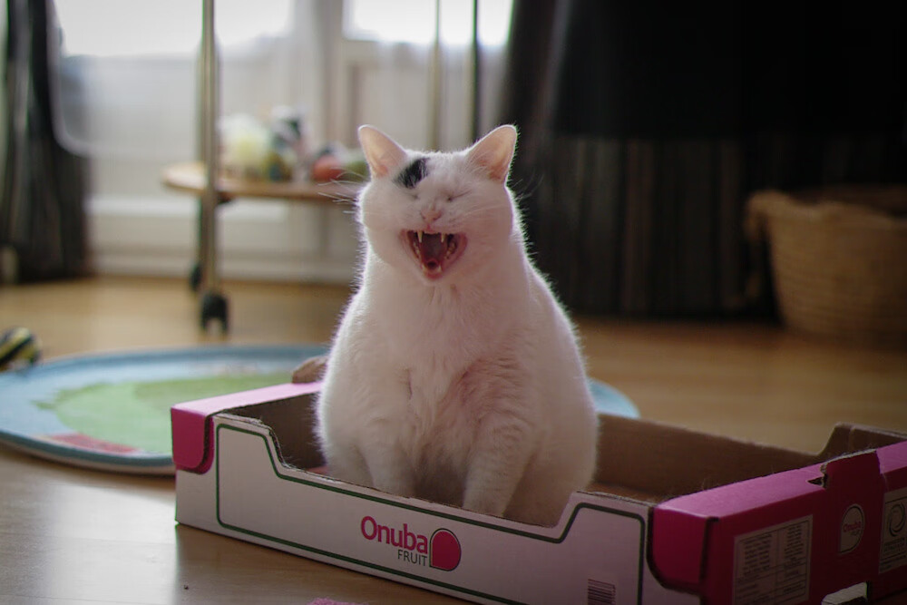 NBA球队阵容深度提升策略，nba球队人员配置