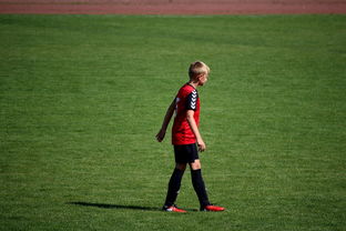 九游官网pc-世界青年滑板锦标赛中国少年夺奖，青少年滑板联赛