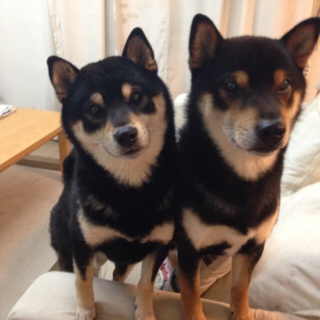 中国足球比赛场上节奏分布数据，足球节奏变化过人