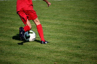 九游娱乐官网 (JIUYOU)-篮球运动员心理韧性提升及干预体系建设，篮球运动员的心理训练