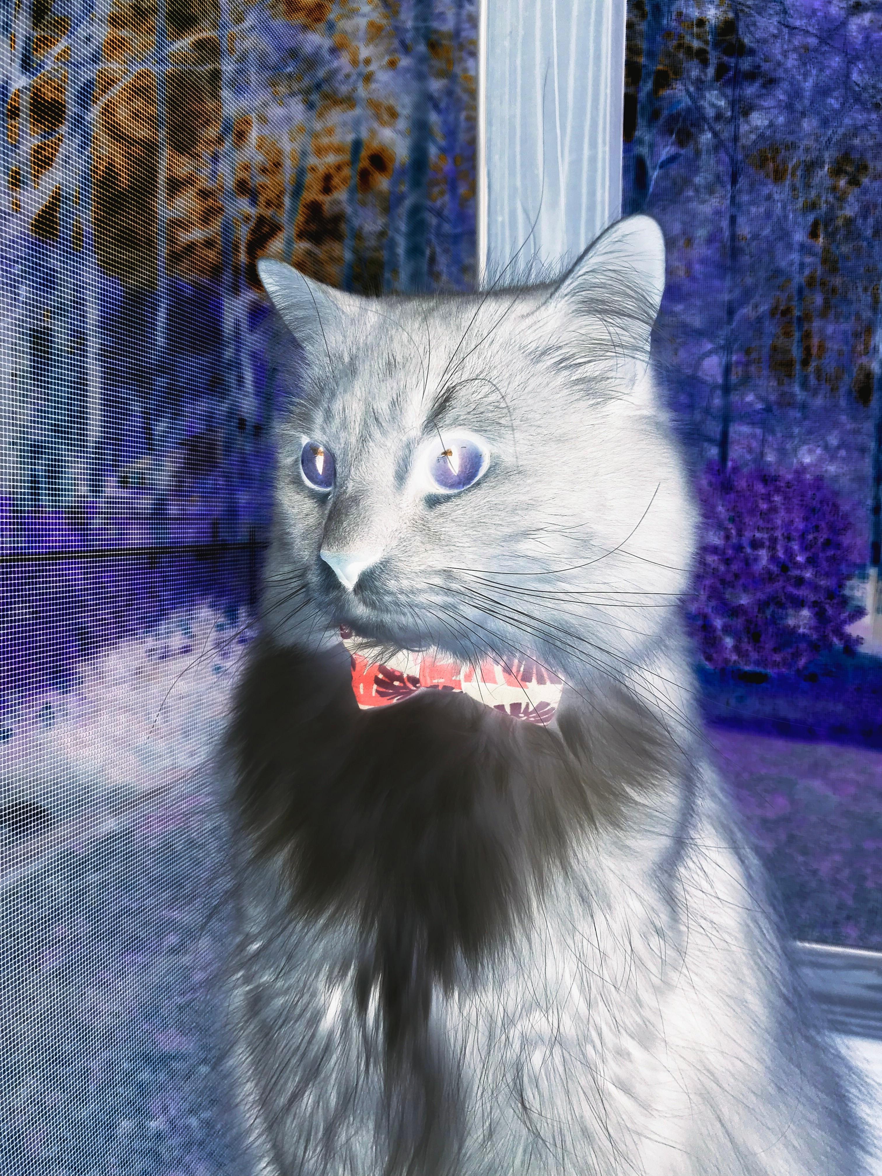 纪录挑战：五大联赛球队打破的比赛纪录，五大联赛各种记录