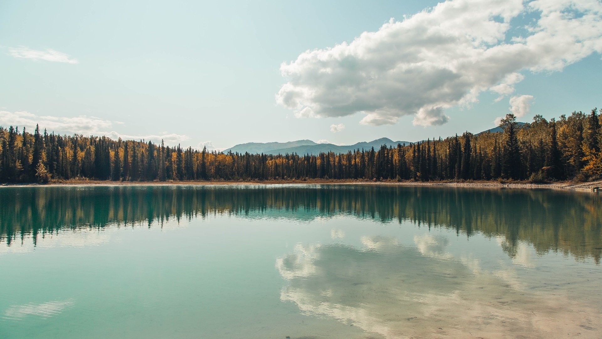 运动项目职业路径设计与发展研究，运动职业化