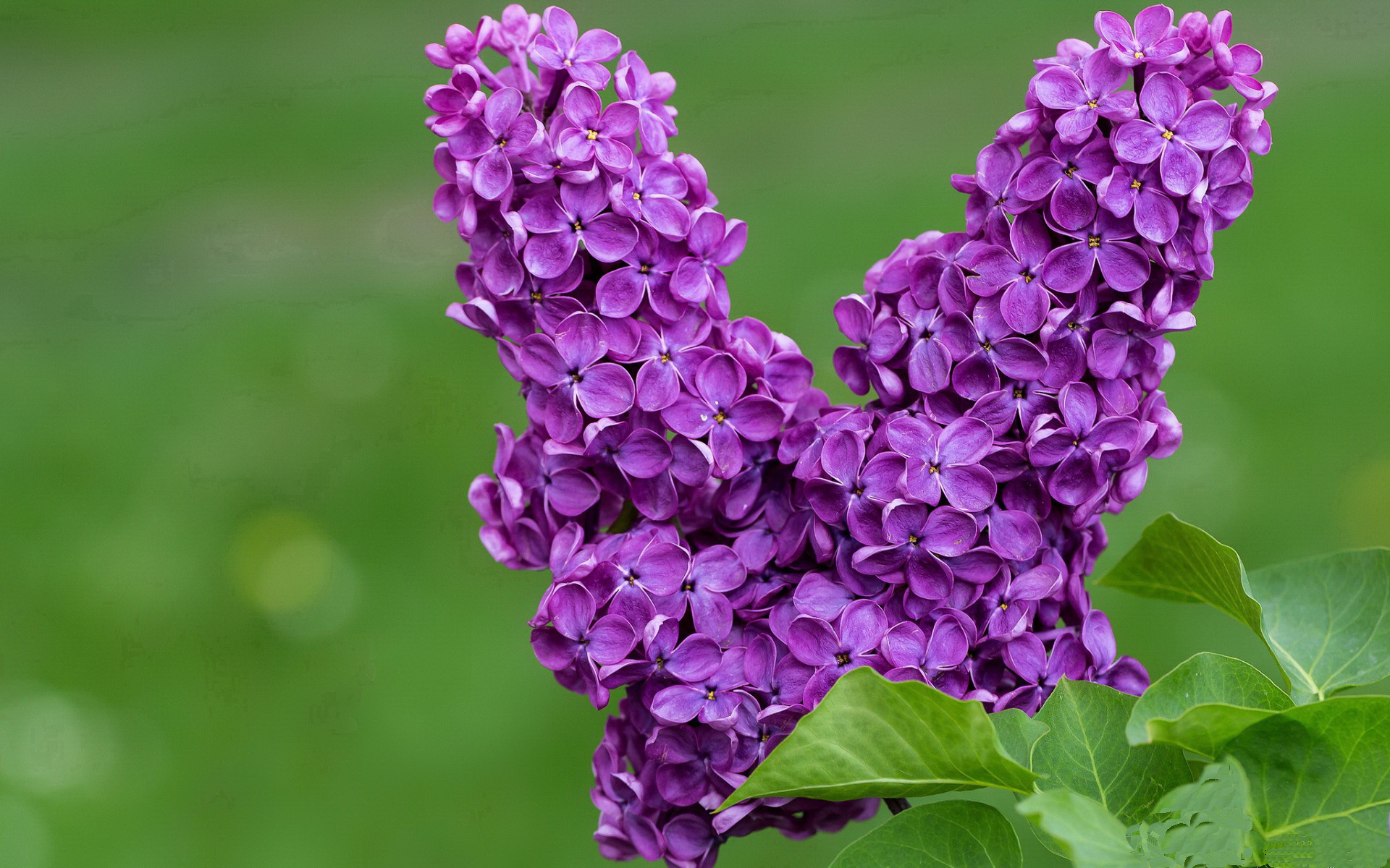 CBA联盟制定新规鼓励青年球员上场，cba俱乐部青年队球员合同怎么签