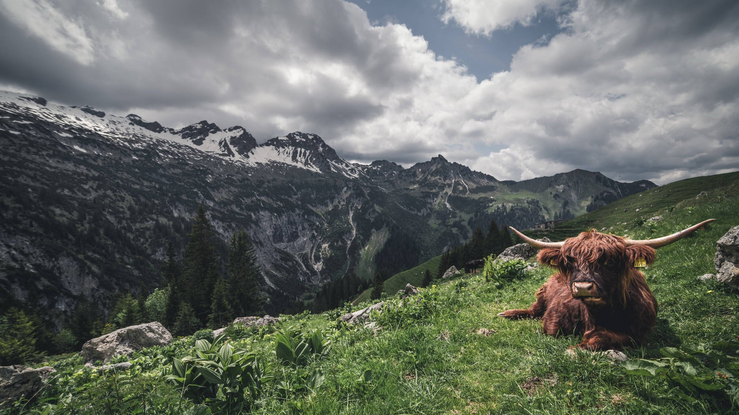 九游jiuyou-高效率低出手球员价值是否被低估，高效率低出手球员价值是否被低估