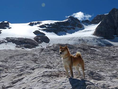 高节奏球队的防守转换问题如何应对,高节奏球队的防守转换问题如何应对