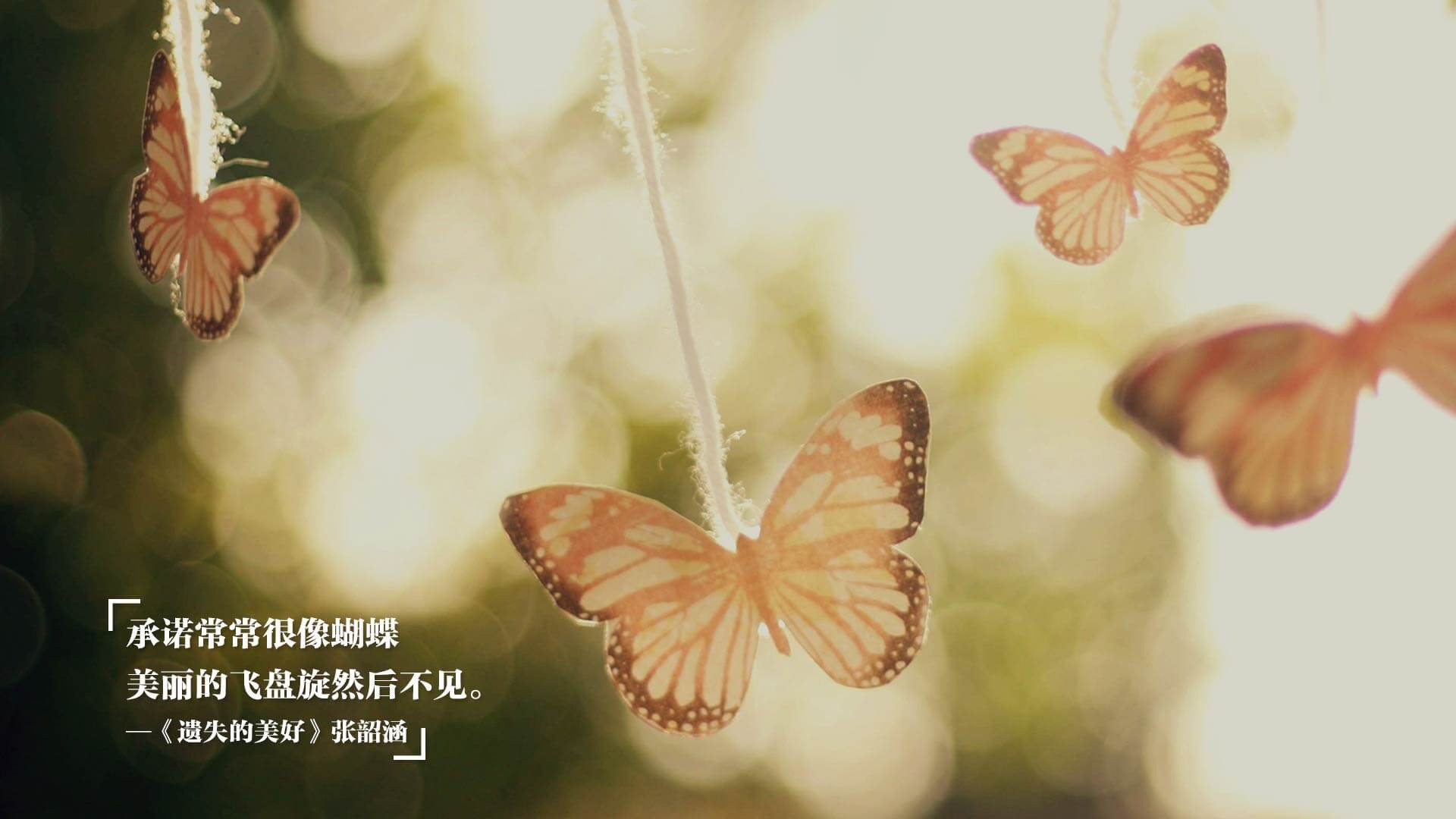 体育新闻中心明星专访独家,体育明星采访