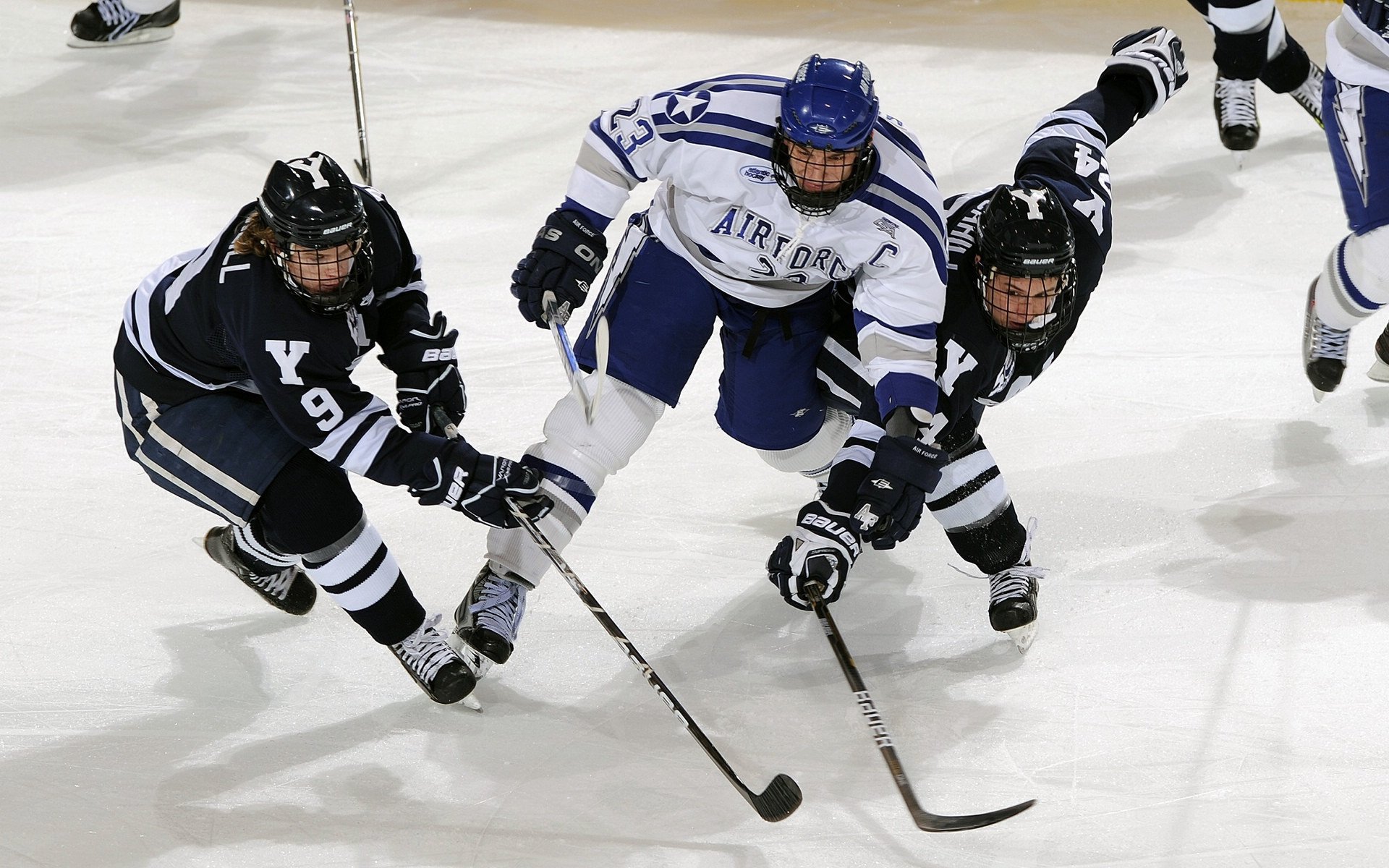中国篮球运动员心理干预及辅助治疗研究，篮球运动员的心理素质训练应把重点放在